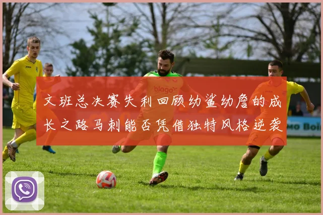 文班总决赛失利回顾幼鲨幼詹的成长之路马刺能否凭借独特风格逆袭成功