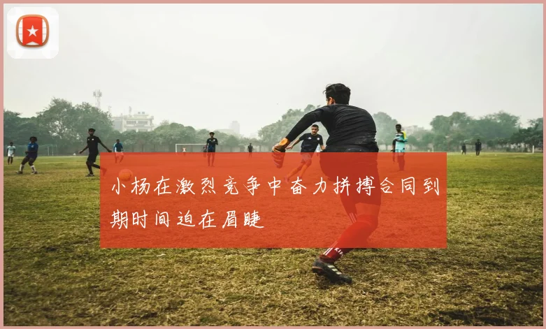 小杨在激烈竞争中奋力拼搏合同到期时间迫在眉睫