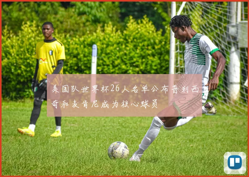美国队世界杯26人名单公布普利西奇和麦肯尼成为核心球员